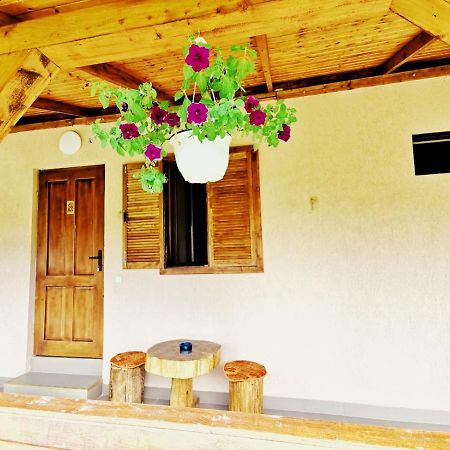 Casa Borcean 2 Sasca Montană Exterior foto