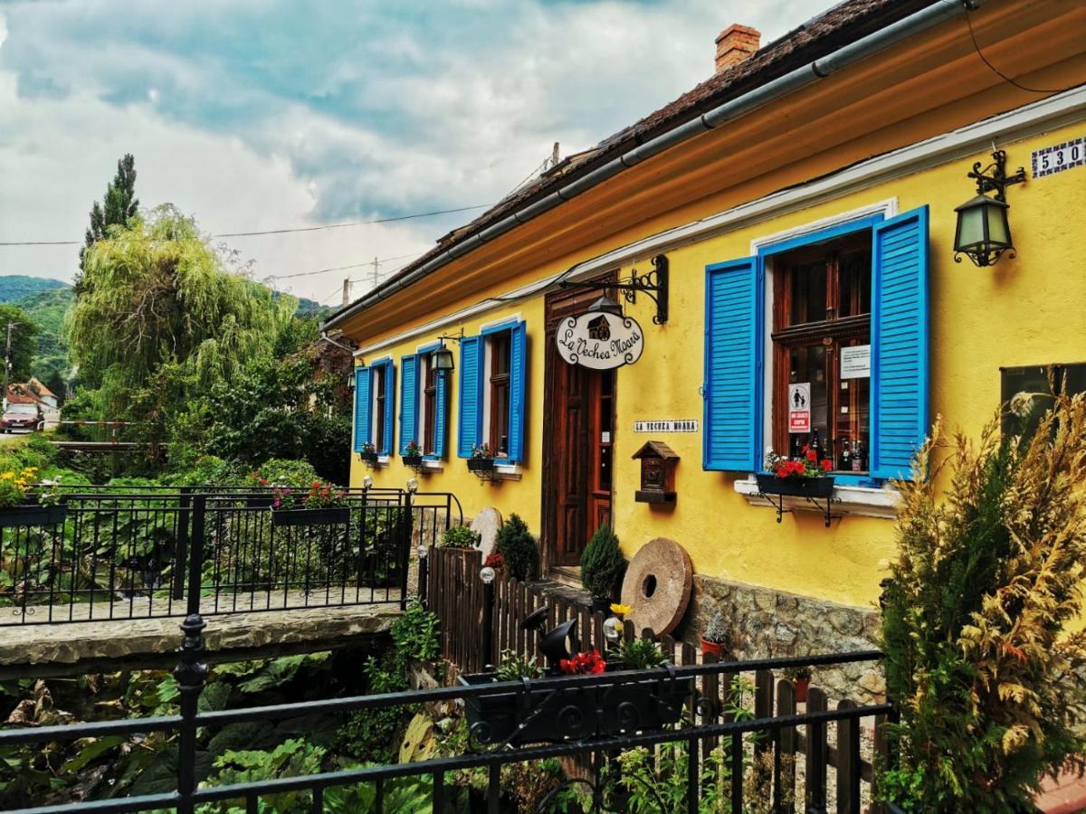 Casa Borcean 2 Sasca Montană Exterior foto